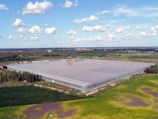 Green Houses Panels